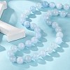 Natural Aquamarine Beaded Necklaces NJEW-S404-19-3