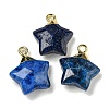 Natural Lapis Lazuli Pendants G-P540-01G-04-1