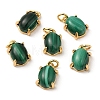 Natural Malachite Dyed Oval Charms G-A034-06G-1