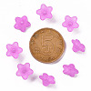 Transparent Acrylic Beads LS-X-PL554-17-4