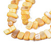 Natural Trochid Shell/Trochus Shell Beads Strands SHEL-S258-082-B11-3