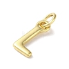 Rack Plating Brass Pendants KK-P245-06G-L-2