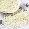 6/0 Glass Seed Beads X1-SEED-M012-01A-10-1