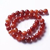 Natural Red Agate Beads Strands X-G-P434-09C-A-1