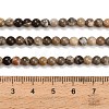 Natural Fossil Coral Beads Strands G-C288-A01-4mm-5