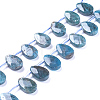 Natural Apatite Beads Strands G-G805-B02-2