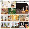 4 Sets Transparent Glass Dome Jar Cloche Display Cases AJEW-PH0011-24B-5