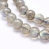 Natural Labradorite Beads Strands LS-G-O166-08-6mm-3