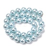 Electroplated Shell Pearl Beads Strands BSHE-G041-12mm-03-2