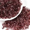 Spray Painted with Glitter Powder Glass Seed Beads SEED-T007-09A-3