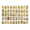 100Pcs 50 Styles Autumn Themed Stamp Decorative Stickers STIC-PW0002-013C-1