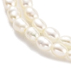 Natural Cultured Freshwater Pearl Beads Strands PEAR-P062-22-4