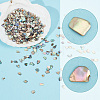 AHADERMAKER 1 Bags Abalone Shell Flakes Cabochons SHEL-GA0001-17A-4