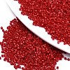 11/0 Grade A Glass Seed Beads X-SEED-S030-1016-1