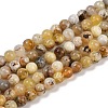 Natural Yellow Opal Beads Strands G-G992-A02-B-1