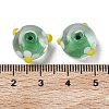 Handmade Lampwork Enamel Beads LAMP-Z020-04A-3