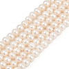 Natural Cultured Freshwater Pearl Beads Strands PEAR-I007-07X-13D-2