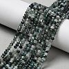 Natural Moss Agate Beads Strands G-C228-A01-2x3mm-1