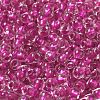 6/0 Transparent Colours Glass Seed Beads SEED-P006-01A-04-3