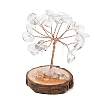 Natural & Synthetic Gemstone Chips Tree of Life Decorations GG-CBAEDF6-01-3