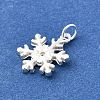 925 Sterling Silver Pendants STER-Q003-01F-S-2
