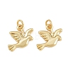 Brass Pendants KK-L275-58G-02-1
