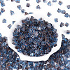Picasso Transparent Glass Beads SEED-Q039-02B-2