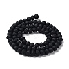 Glass Beads Strands LS-EGLA-A034-P10mm-MD18-3
