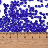 Transparent Colours Glass Seed Beads X1-SEED-P006-02A-16-4