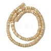 Natural Trochid Shell/Trochus Shell Beads Strands SSHEL-S266-019B-03-2