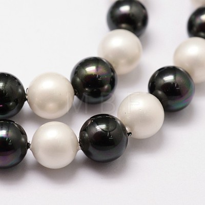 Shell Pearl Bead Strands BSHE-L017-13-1