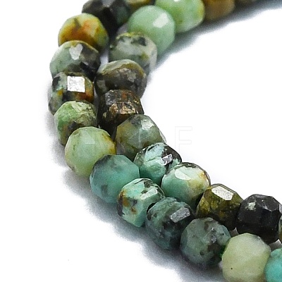 Natural African Turquoise(Jasper) Beads Strands G-P457-B01-43-1