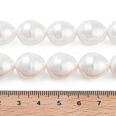 Electroplated Shell Pearl Beads Strands BSHE-H110-01-03-1