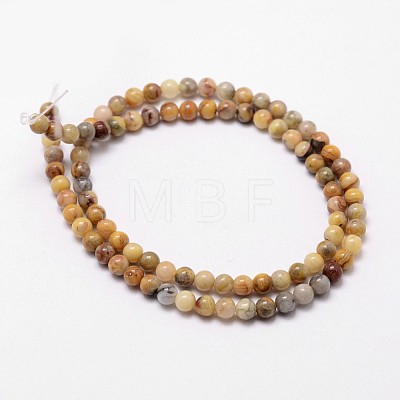 Natural Crazy Lace Agate Beads Strands G-D840-70-4mm-1