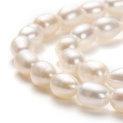 Natural Cultured Freshwater Pearl Beads Strands PEAR-L033-59-1