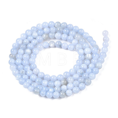 Natural Freshwater Shell Beads Strands BSHE-T009A-01F-1