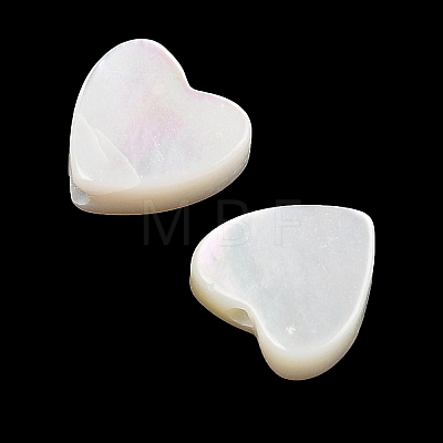 Natural White Shell Beads SSHEL-I026-09-1