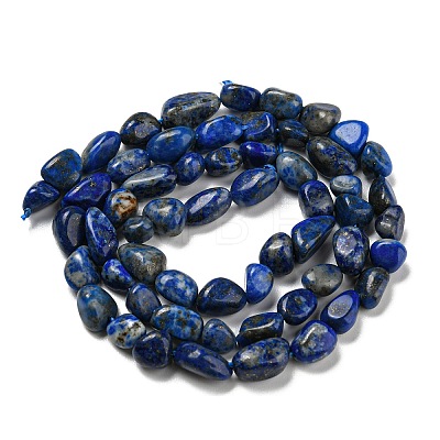 Natural Lapis Lazuli Beads Strands G-P497-01A-14-1