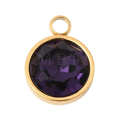 Birthstone Theme February 304 Stainless Steel Pendants STAS-K239-01G-A02-1