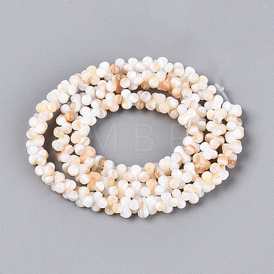 Natural Freshwater Shell Beads Strands SHEL-N038-29A-1
