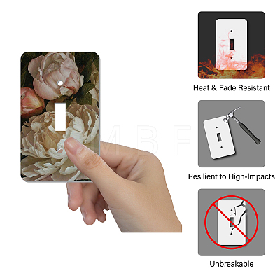 CREATCABIN 2Pcs Acrylic Light Switch Plate Outlet Covers DIY-CN0001-93K-1