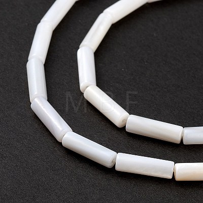 Natural Freshwater Shell Beads Strands SHEL-M018-10-1