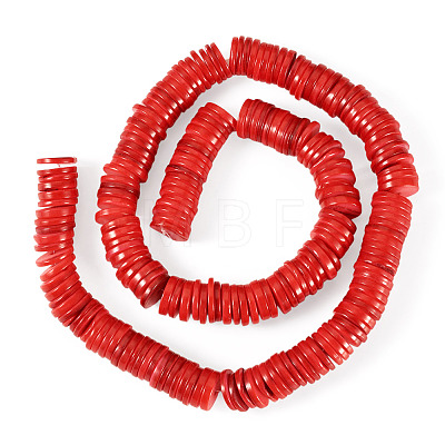 1 Strand Natural Freshwater Shell Beads Strands SHEL-TA0001-35C-1