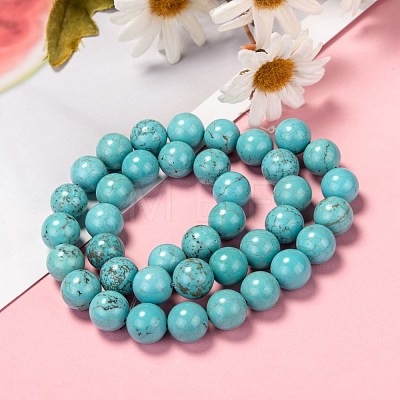 Natural Magnesite Beads Strands G-L555-02-10mm-A-1
