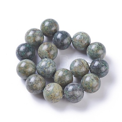 Natural African Turquoise(Jasper) Beads Strands G-E524-10-25mm-1