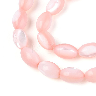 Natural Trochus Shell Beads Strands SHEL-K006-19-01F-1