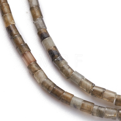 Natural Larvikite Beads Strands G-H255-18-1