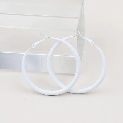 Spray Painted Alloy Hoop Earrings FS-WG43B6B-05-1
