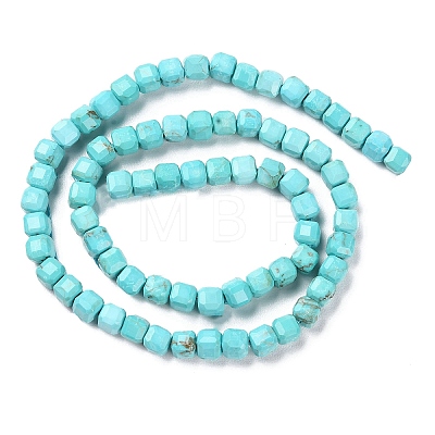 Natural Howlite Beads Strands G-G001-A01-02-1