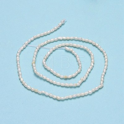 Natural Cultured Freshwater Pearl Beads Strands PEAR-J006-01A-1